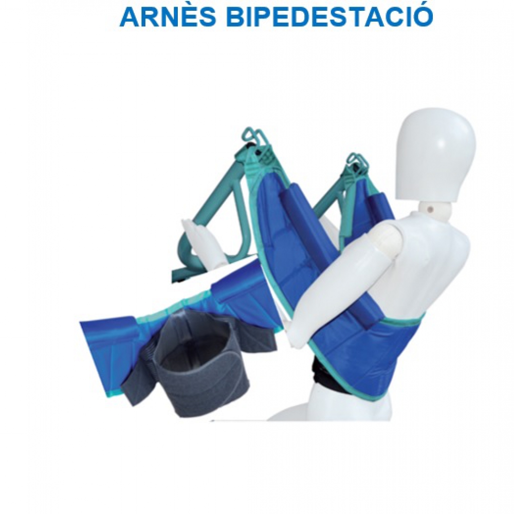 Arnès bipedestació